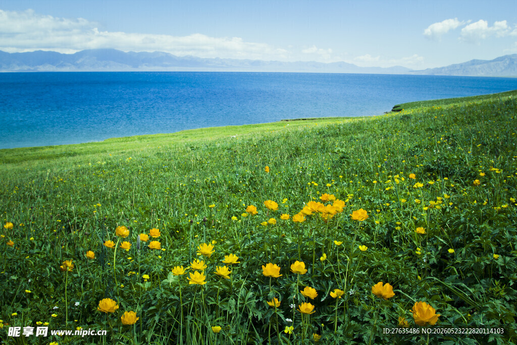 湖畔花海美景图