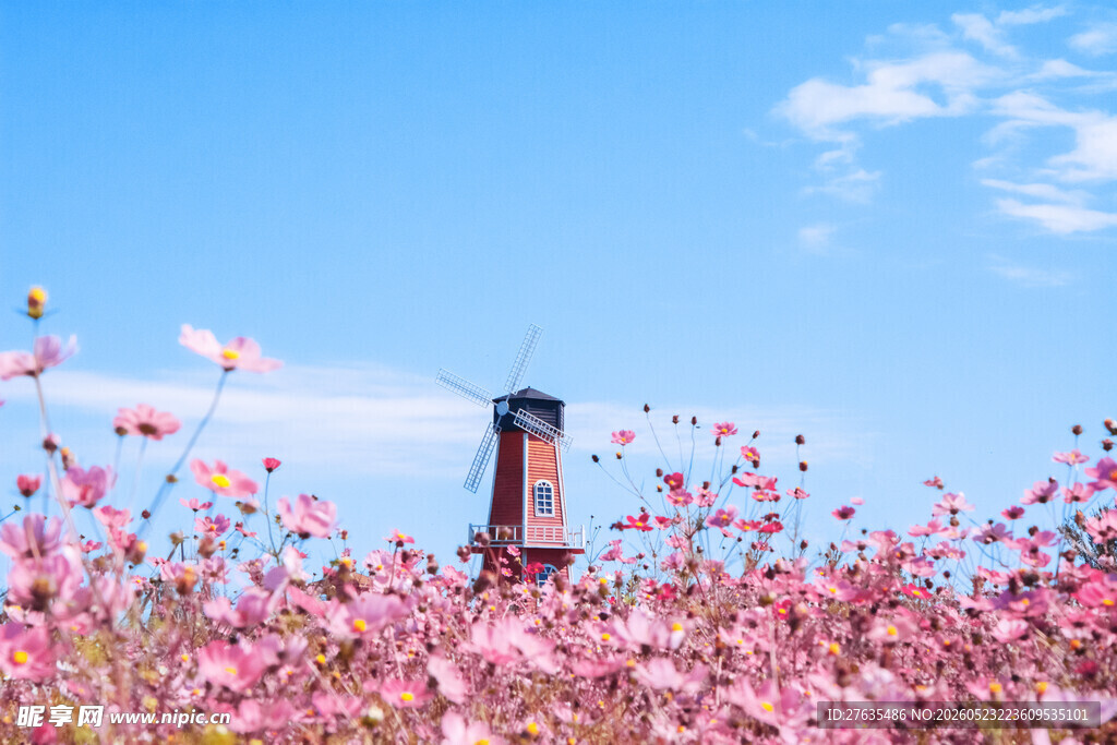 花海中的灯塔