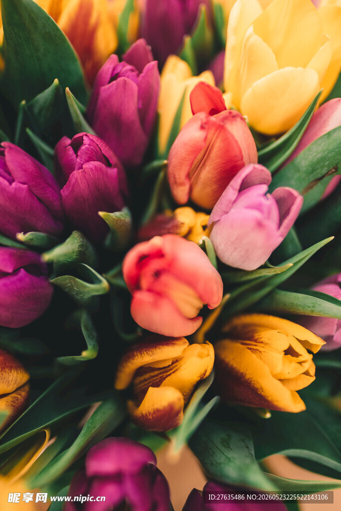 多彩郁金香花束