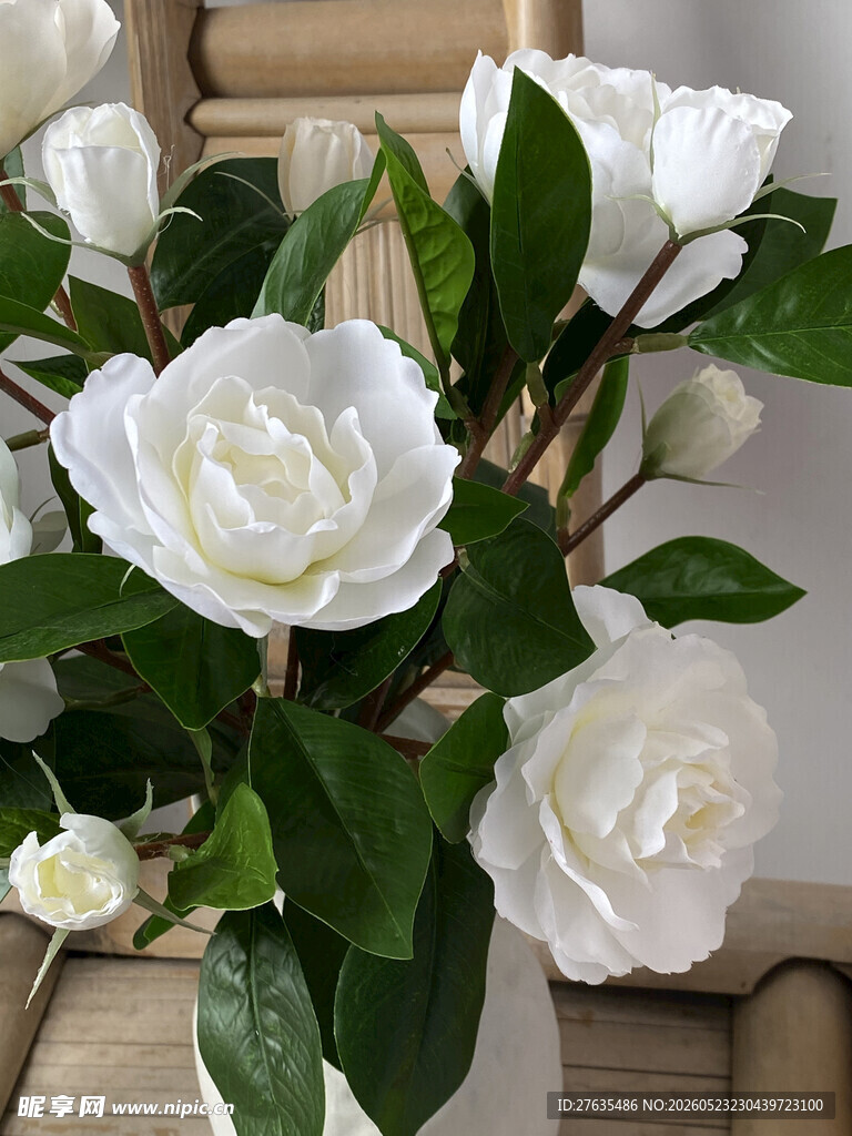 白色山茶花插于素雅花瓶中