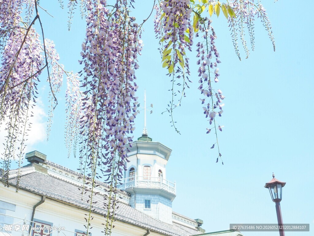 紫藤花下的欧式建筑美景