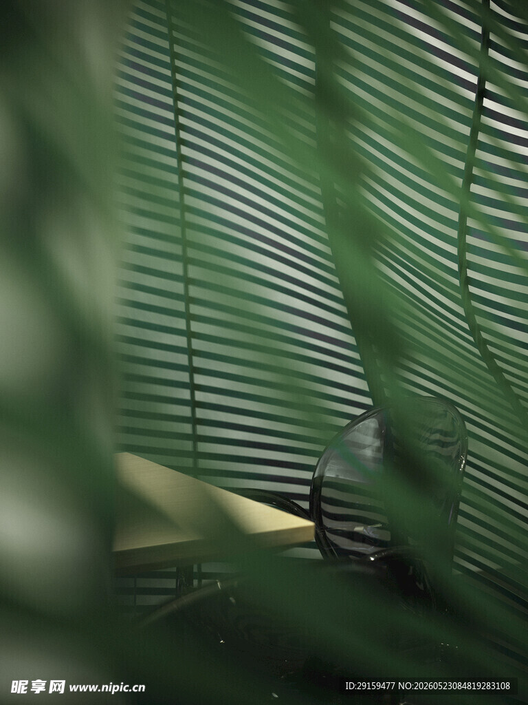透过蕉叶窥景