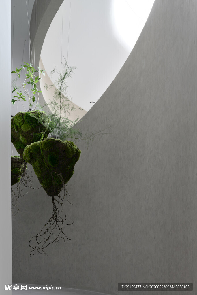 墙角绿植自然生命力展现