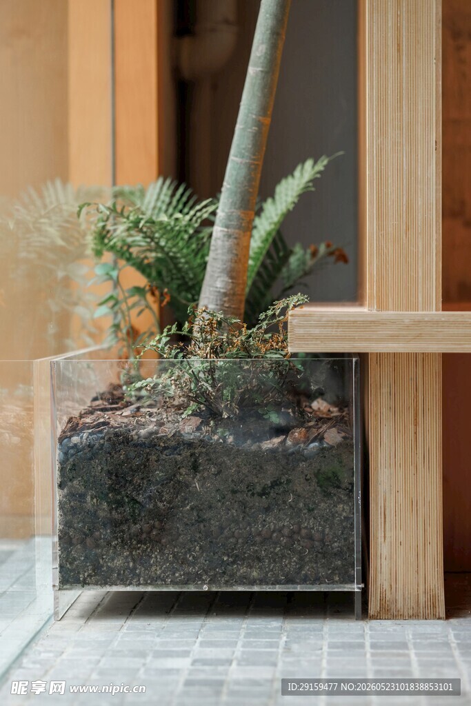 木质角落的绿植景观