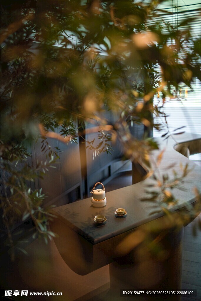 温馨户外休闲用餐场景