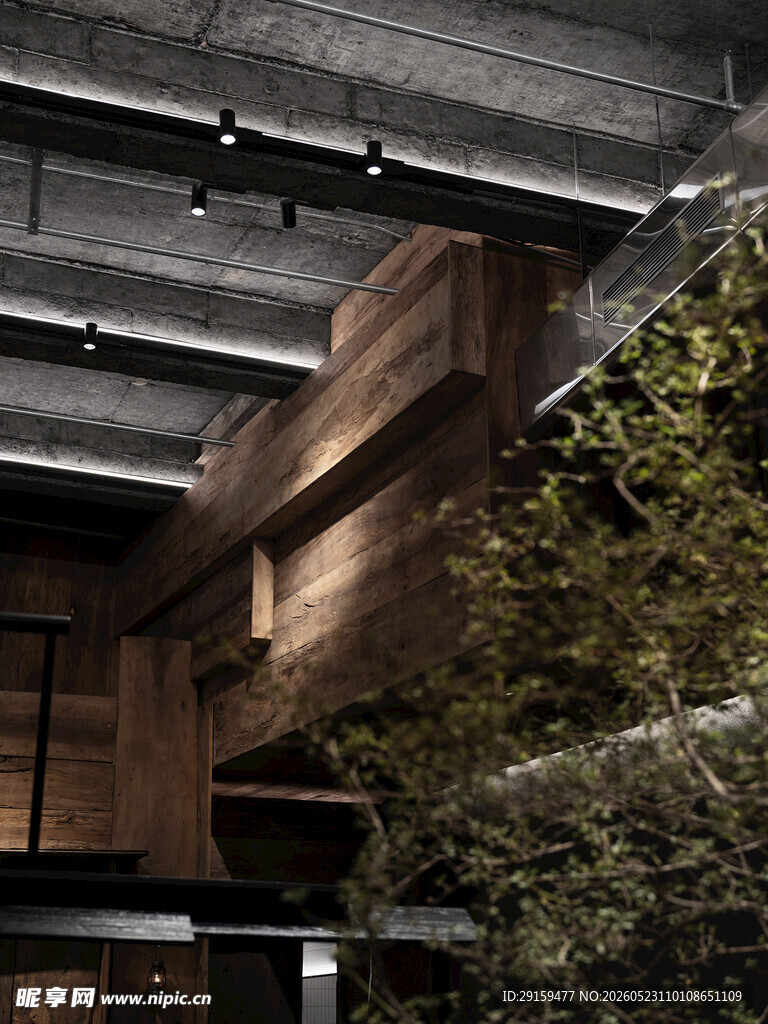室内绿植装饰的建筑角落