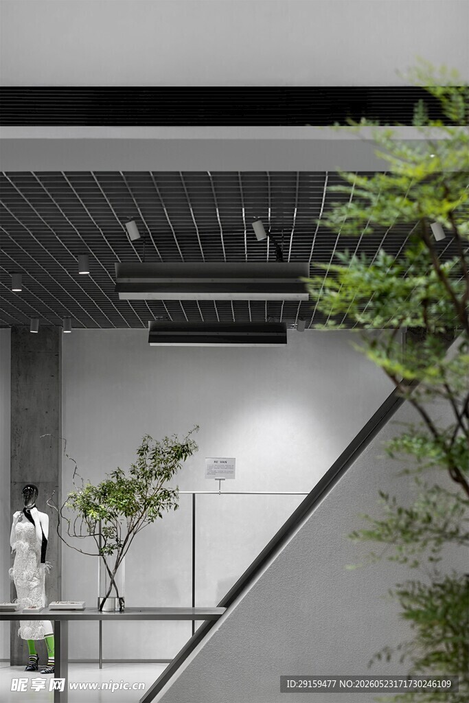 现代室内楼梯旁绿植景致