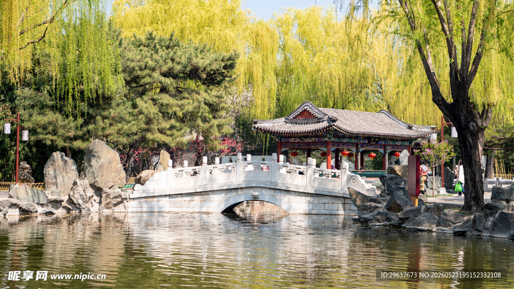 古建筑 垂柳