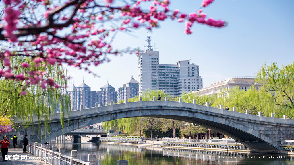 建筑 桃花  春柳