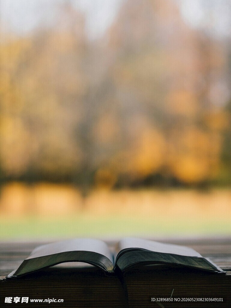 翻开的书与秋日美景