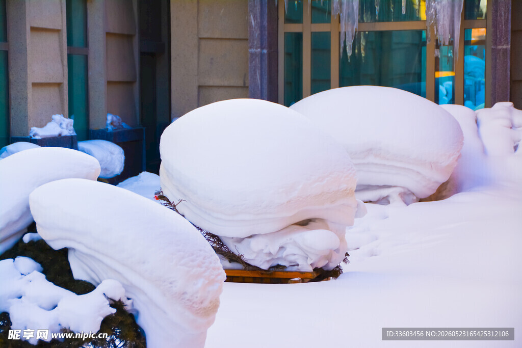 冬日街头被雪覆盖的景象