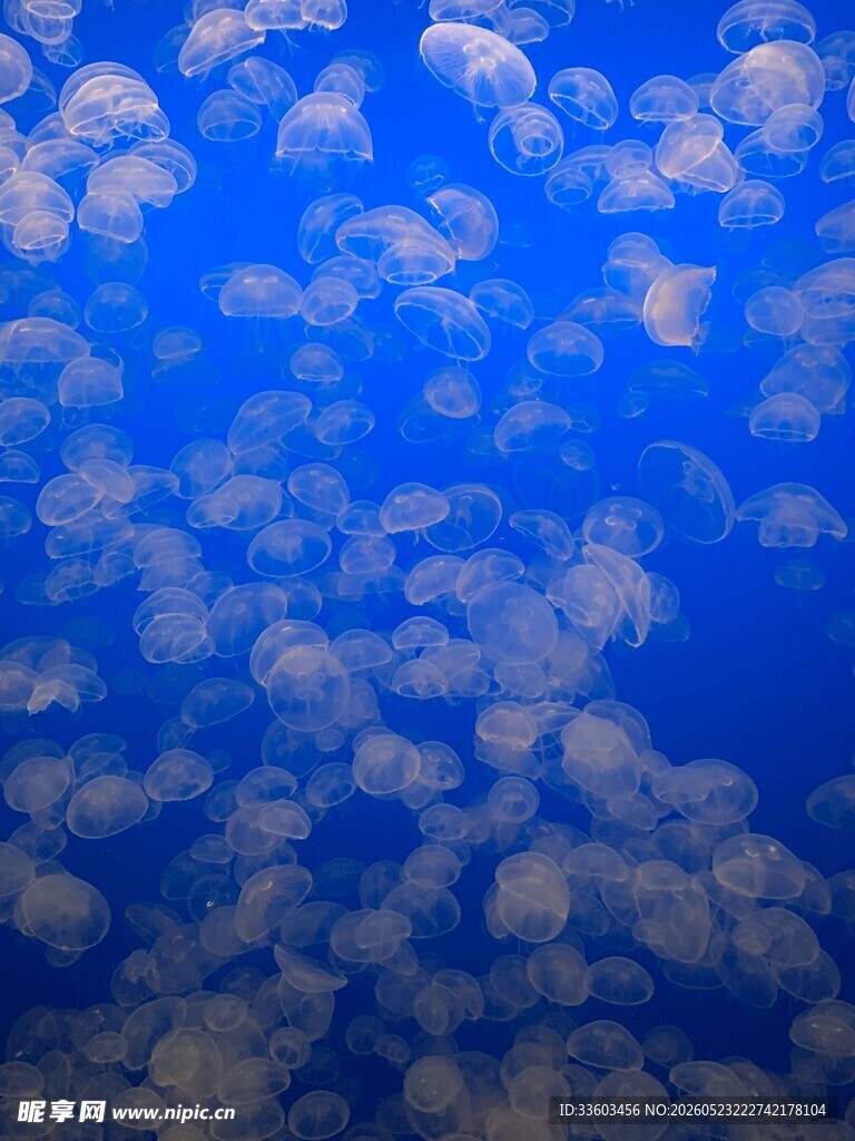 梦幻蓝色天空中的云朵