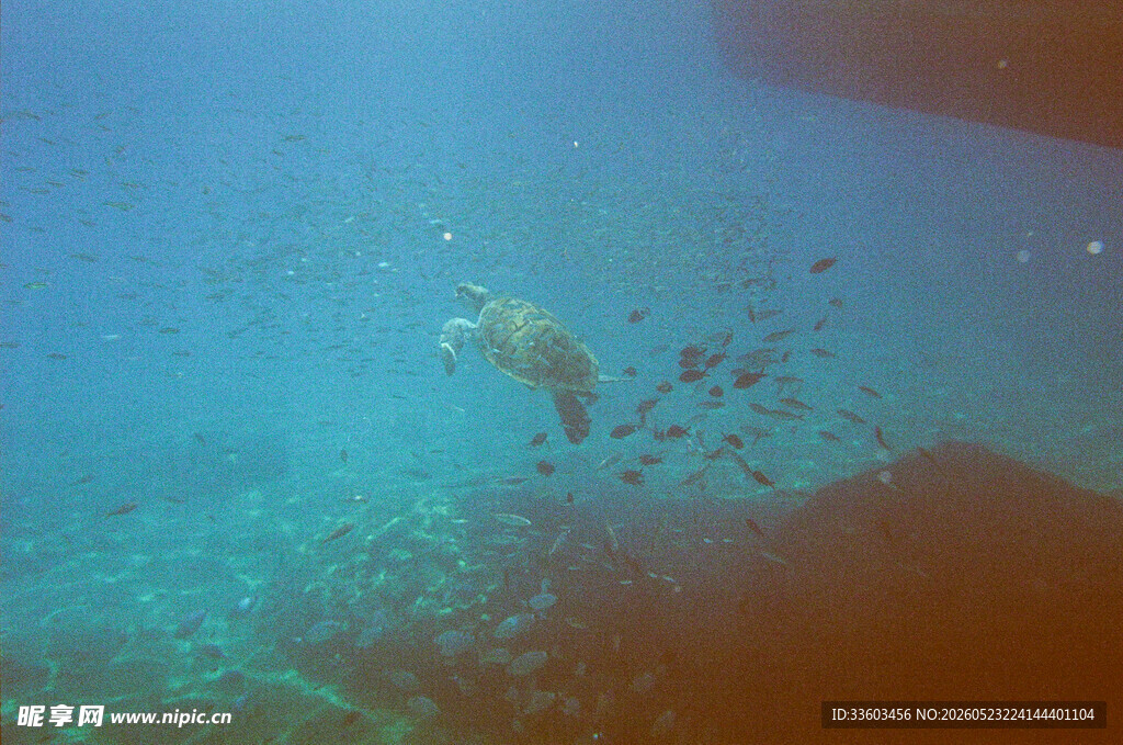 海底潜水景观