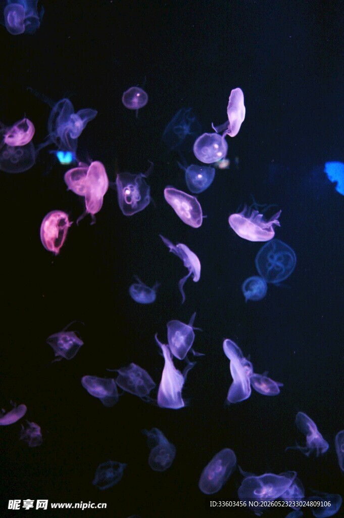 梦幻漂浮彩色花瓣