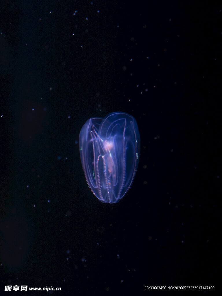 深海中的发光水母
