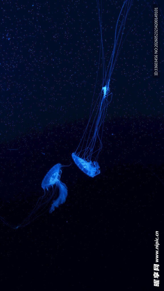 深海发光水母梦幻场景