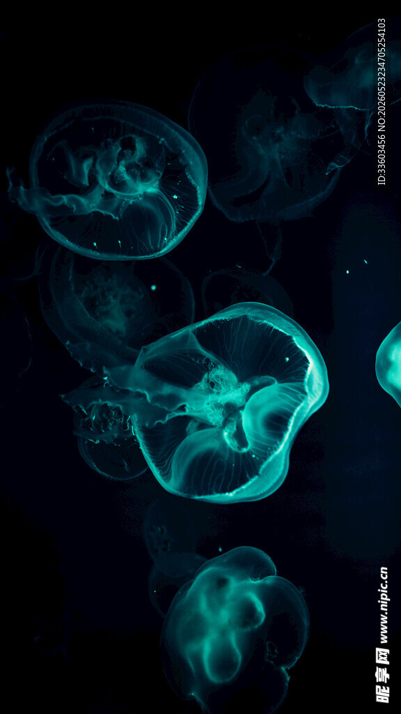 梦幻发光水母深海景象