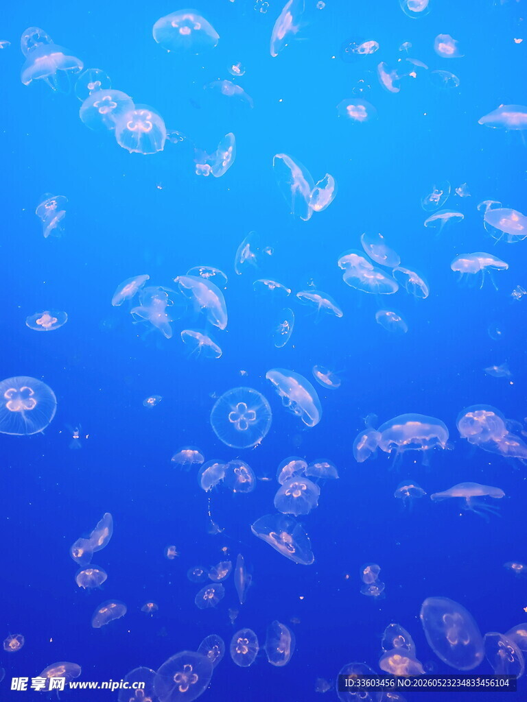 蓝色背景下的梦幻气泡