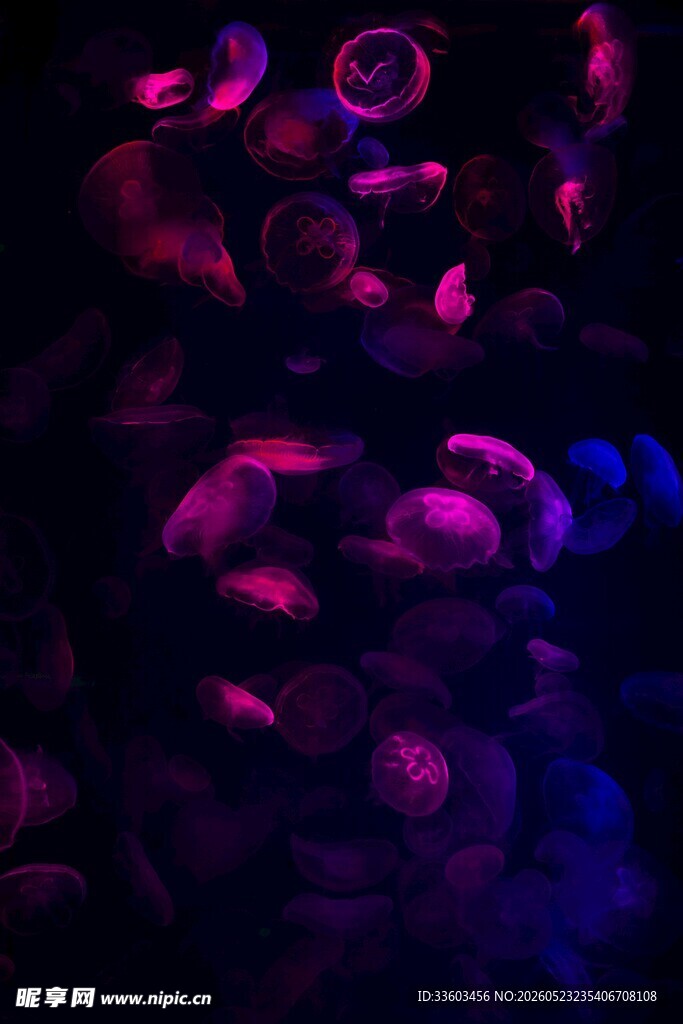 梦幻紫色光影花卉图案