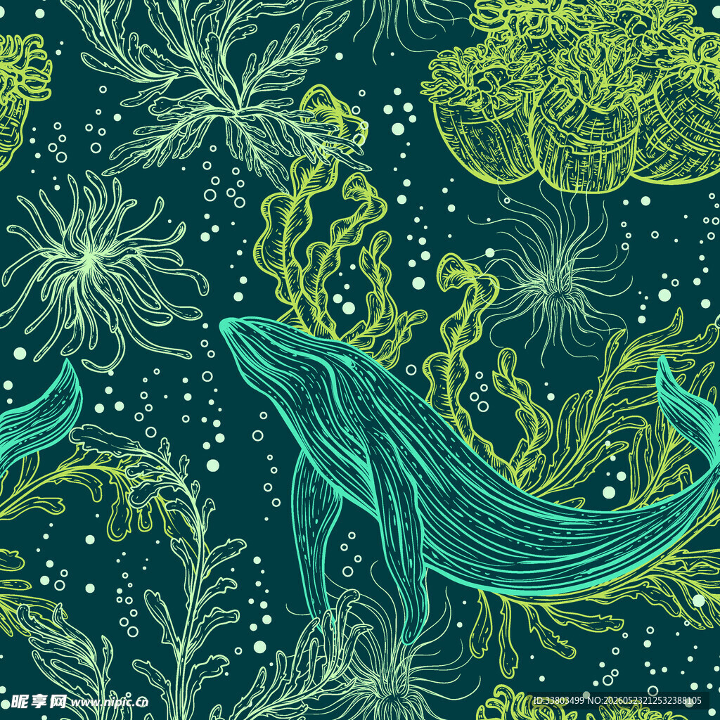 海洋生物与植物精美插画