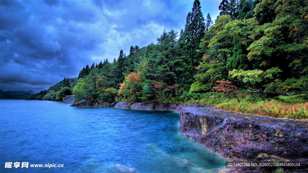 湖畔森林美景
