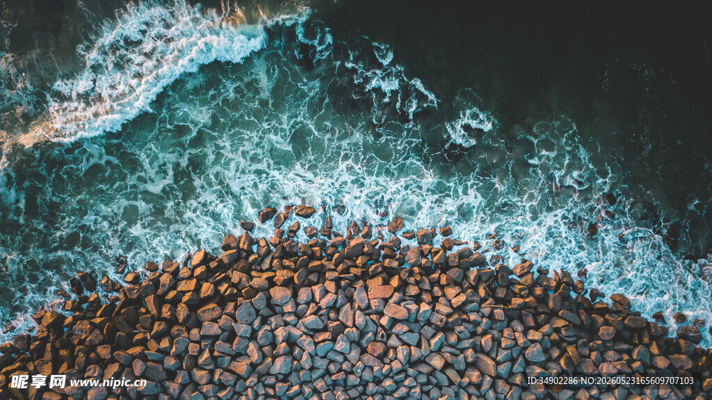 海岸边密集的鸟群景象