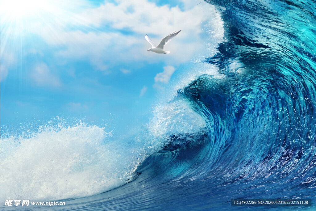 汹涌海浪与翱翔飞鸟