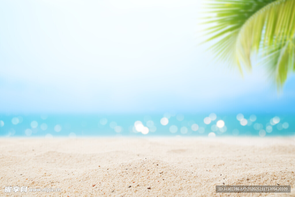 夏日海滩风光