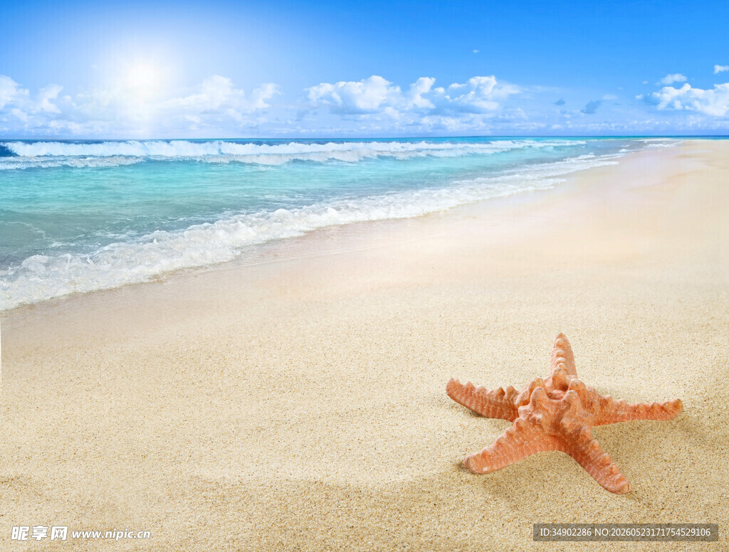 沙滩上的海星与美丽海景