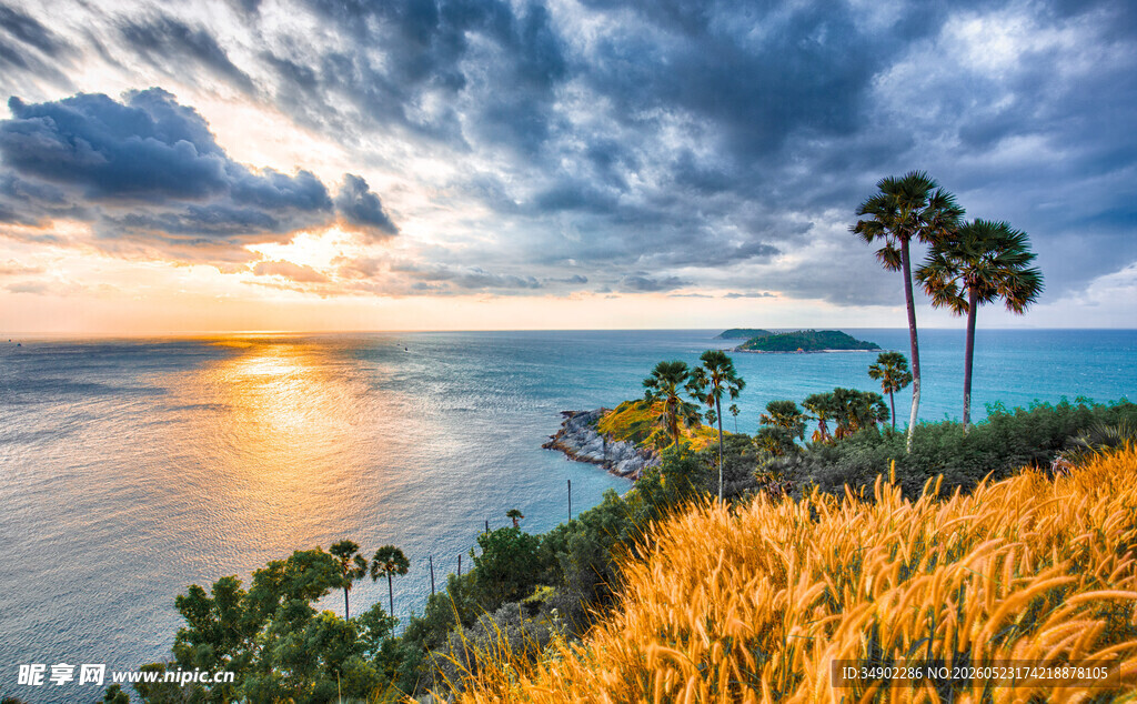 海边日落美景草木相伴