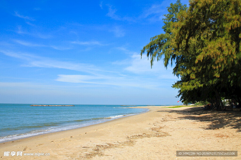 美丽海滨沙滩风景画面