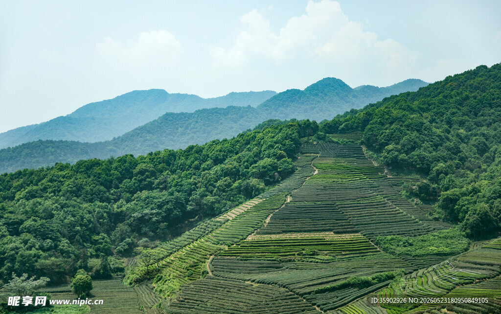 青山梯田美景