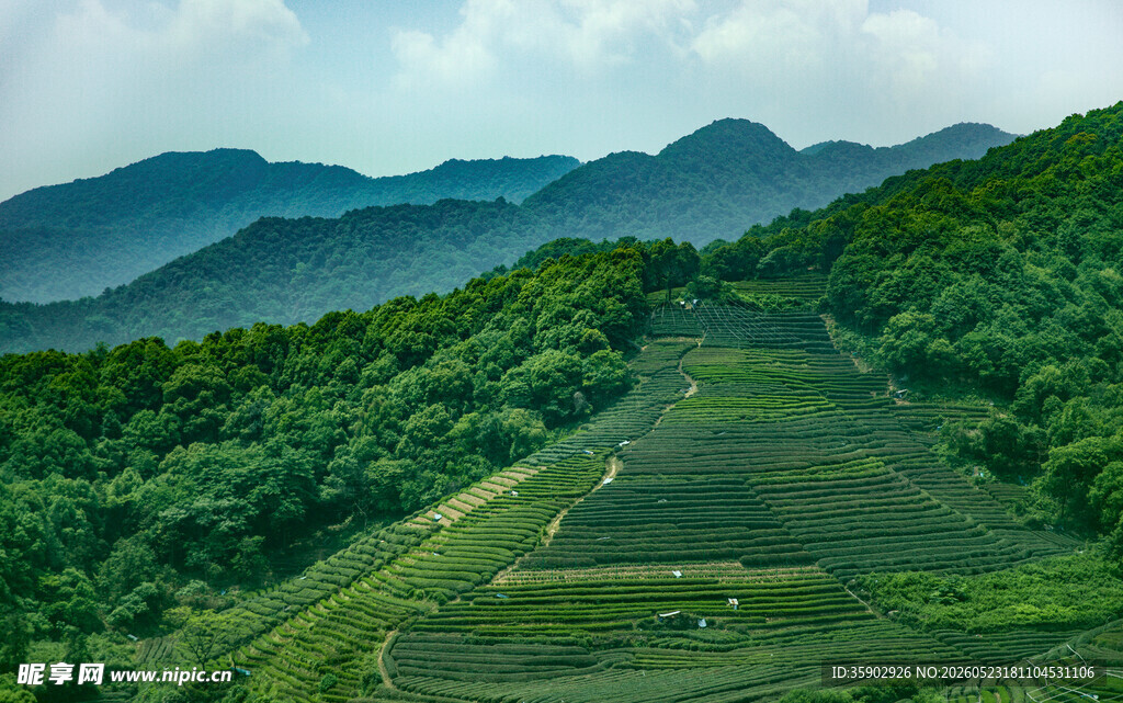 山间绿野梯田美景