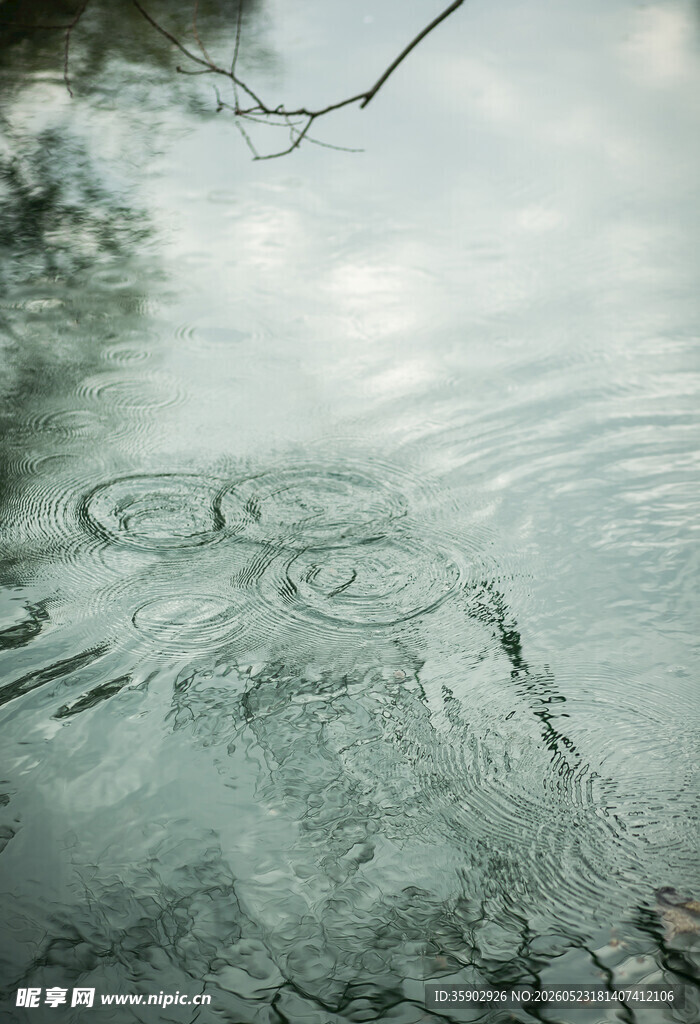雨滴落入水面泛起涟漪