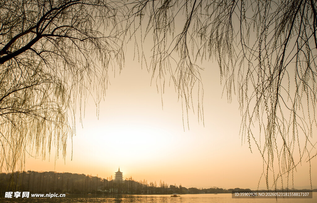 夕阳下的垂柳湖畔美景