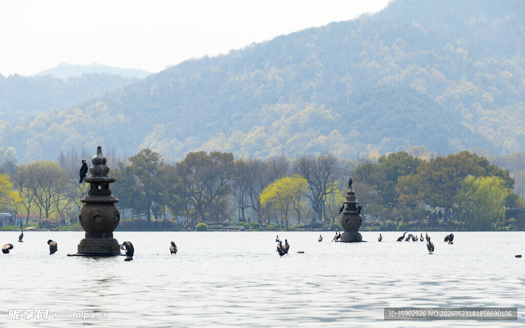 西湖三潭印月湖景风光