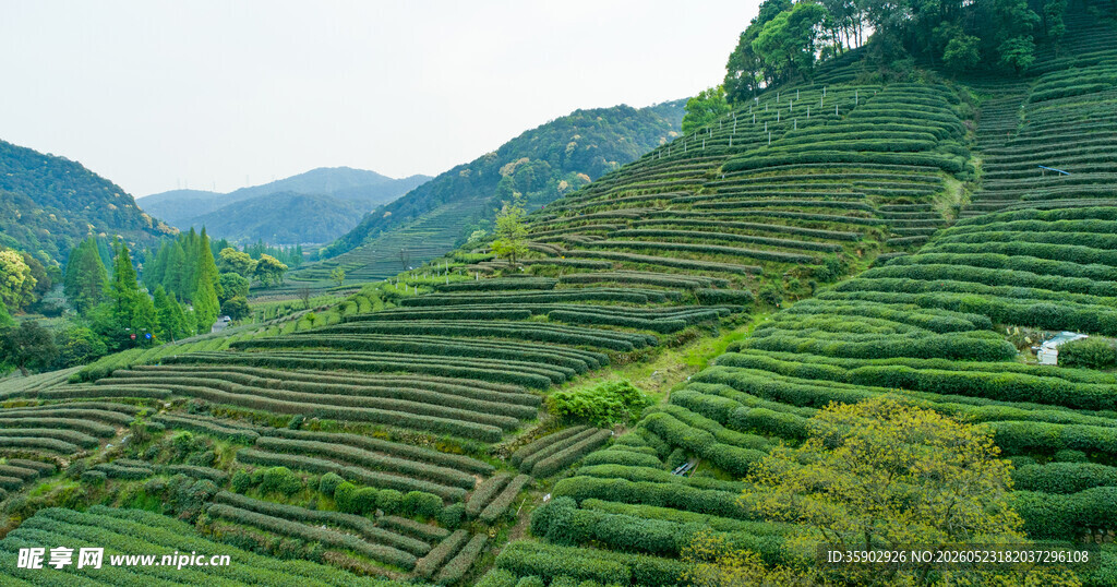 层层叠翠的山间梯田景观