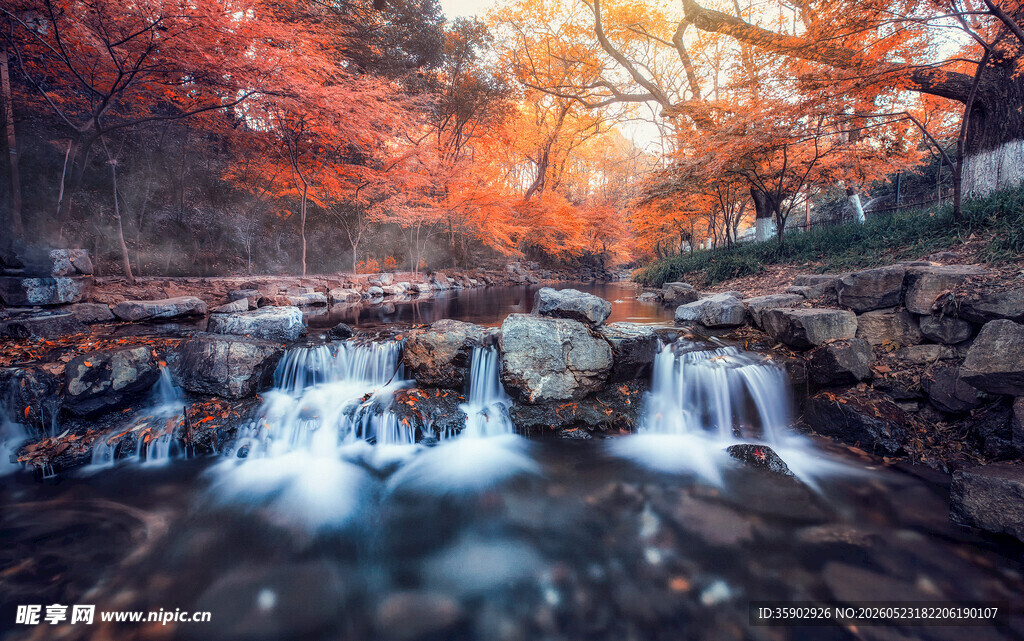 秋日溪流旁绚烂红叶美景