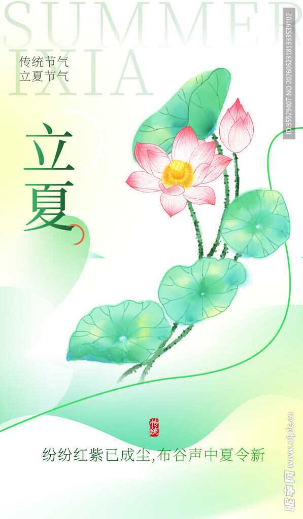 立夏时节荷花清新插画