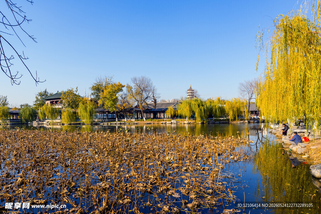 秋日湖畔落叶美景