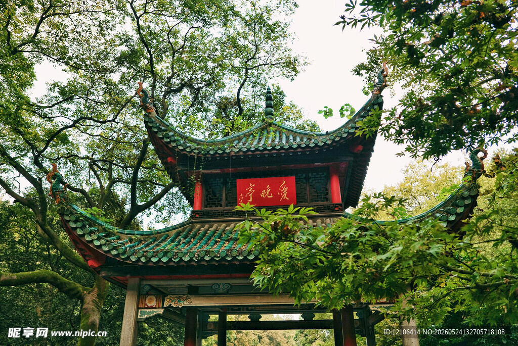 中式古亭隐于葱郁林间