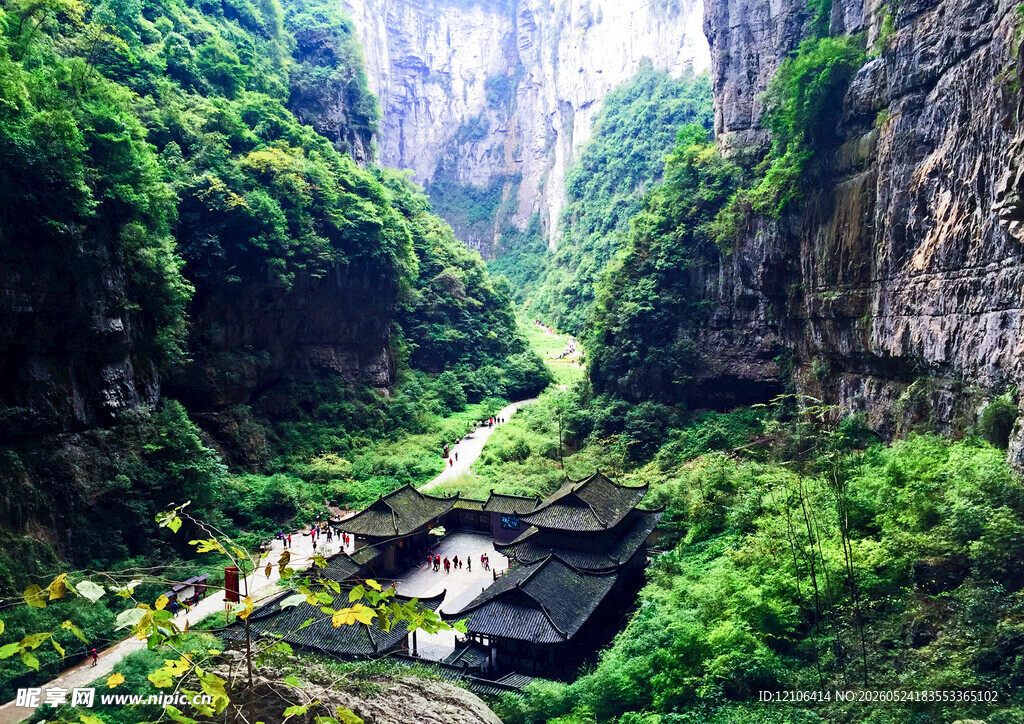 峡谷绿意盎然的自然美景