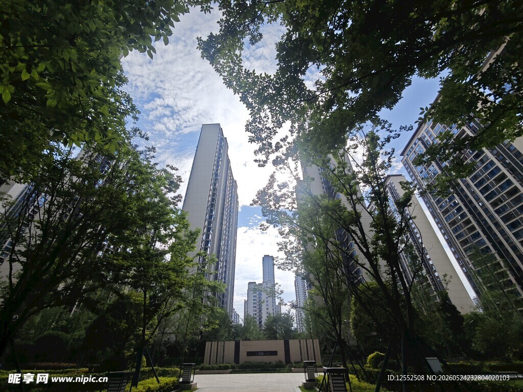 都市林荫下的高楼景观
