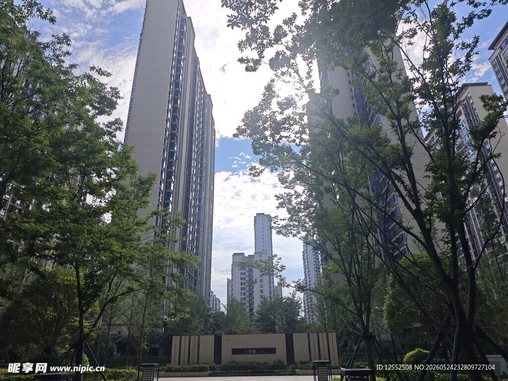 高楼林立间的绿意景致