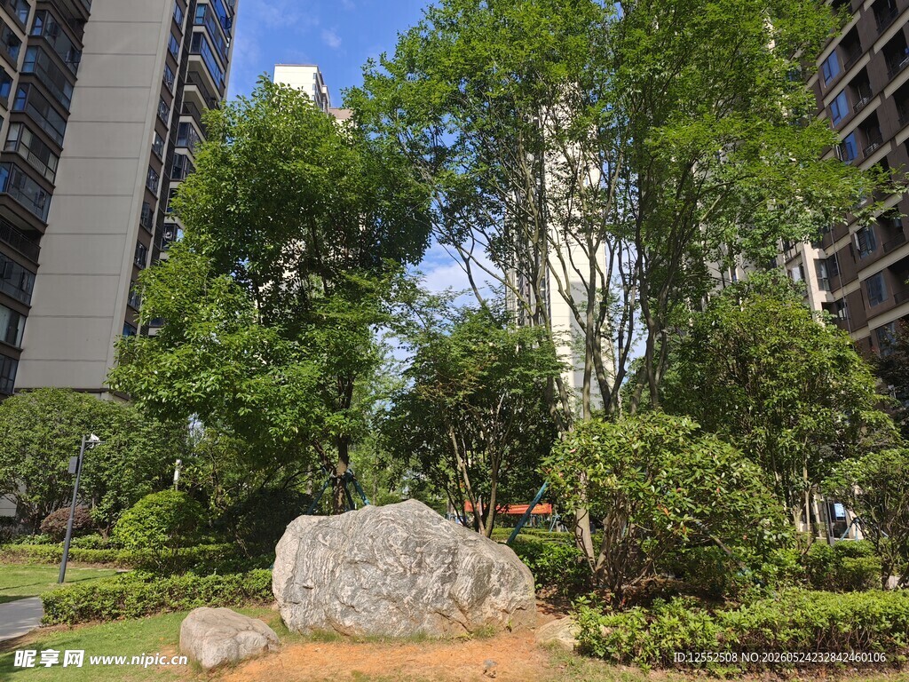 城市中的绿植与巨石景观