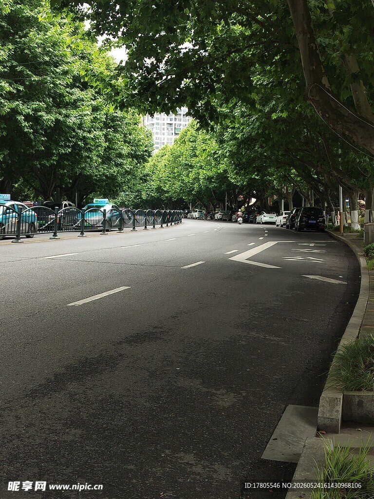 林荫下的静谧城市道路