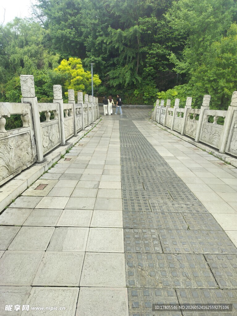 林间石桥步道