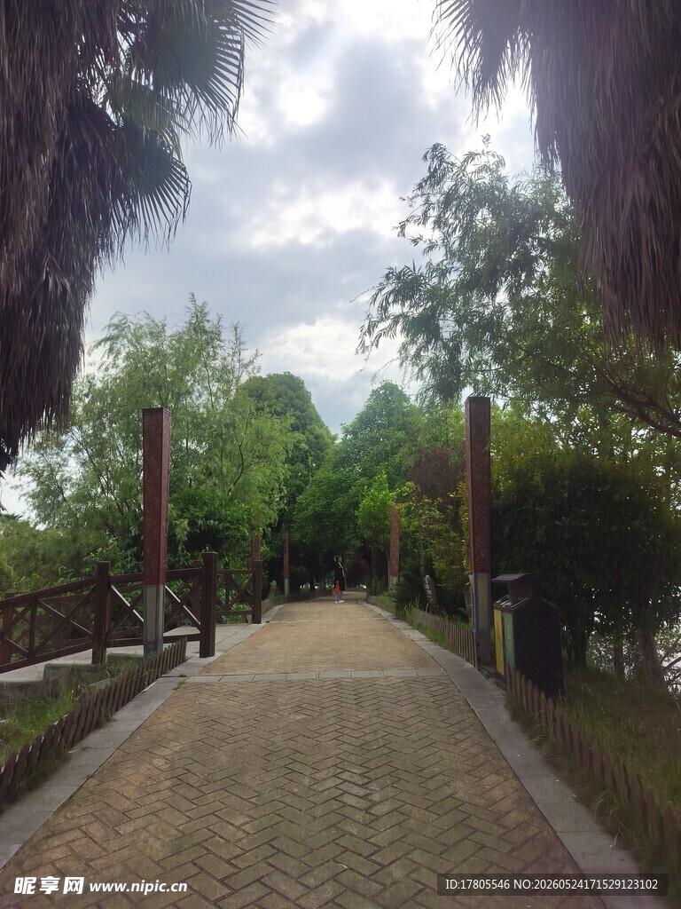 林间石板小径风景