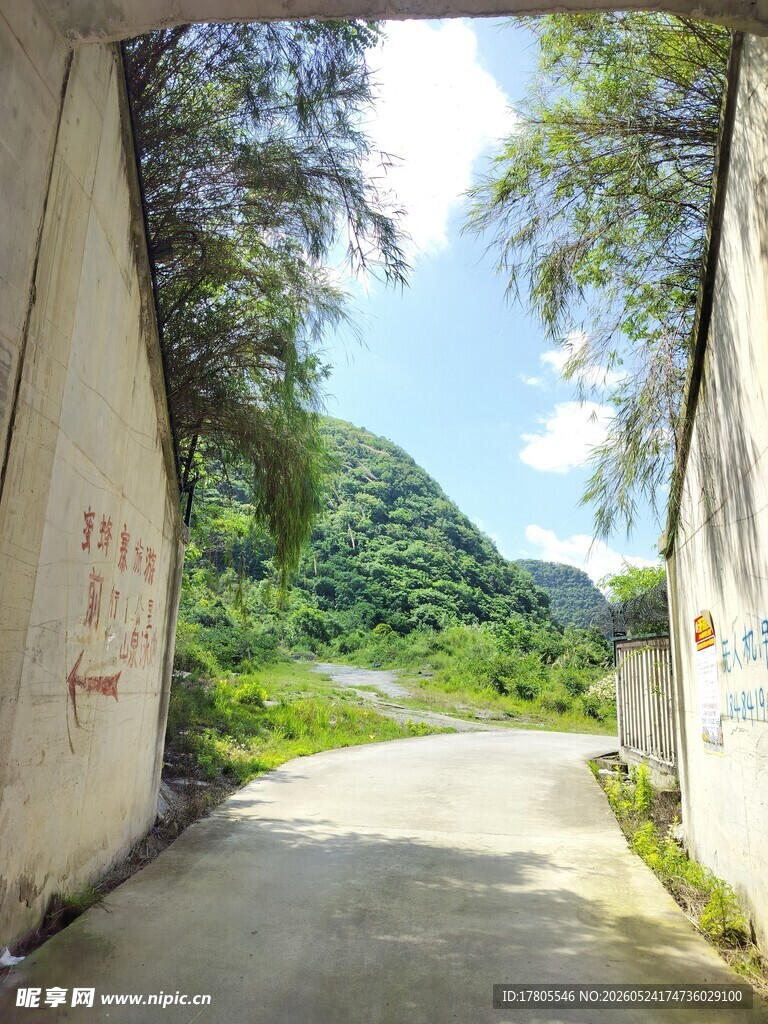 乡村小道旁的自然景致