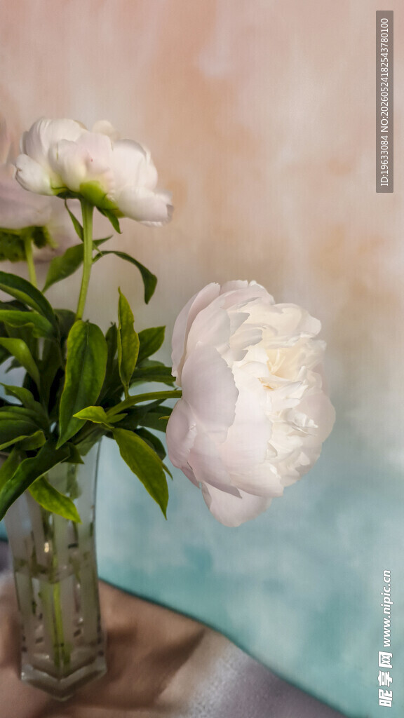 花瓶中的芍药花